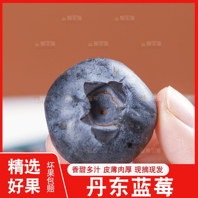 浅底上的新鲜蓝莓