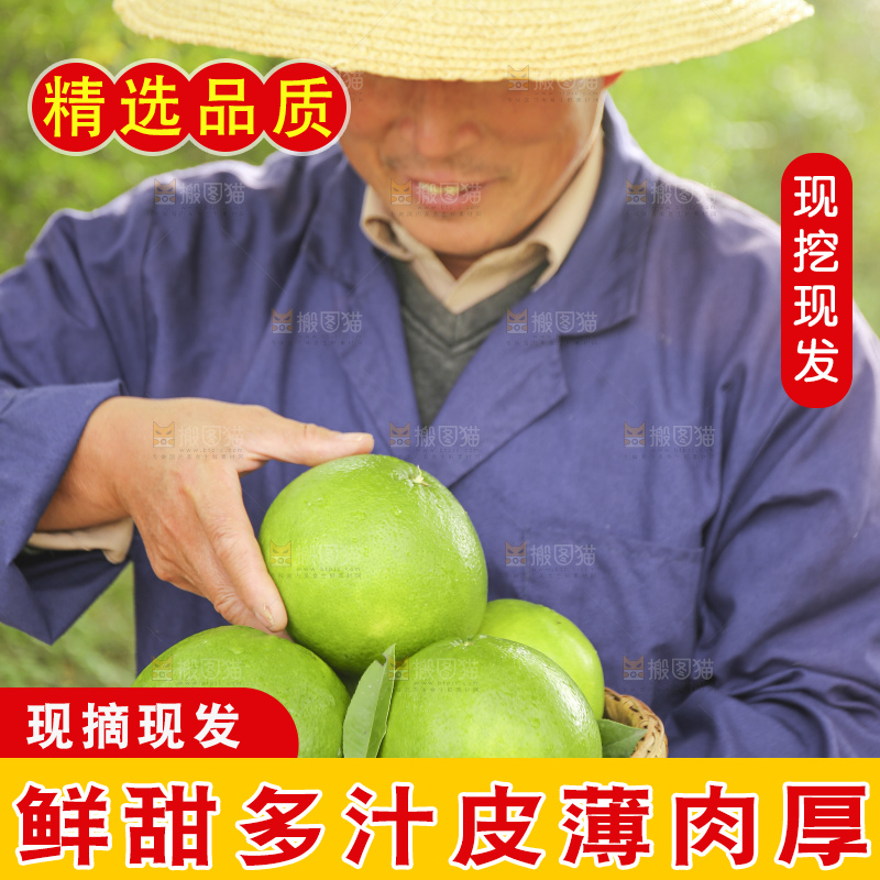 手里拿着青皮葡萄柚