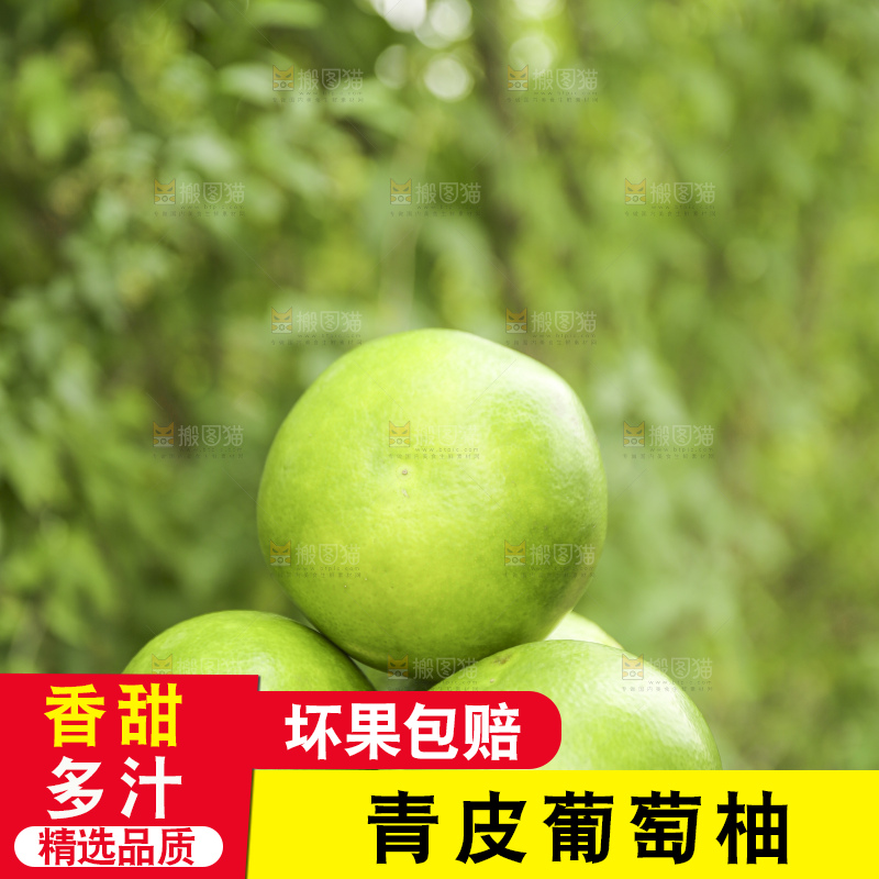 手里拿着青皮葡萄柚