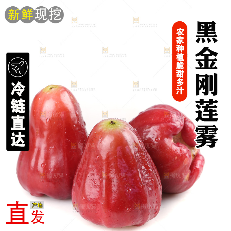 白底上的黑金刚莲雾