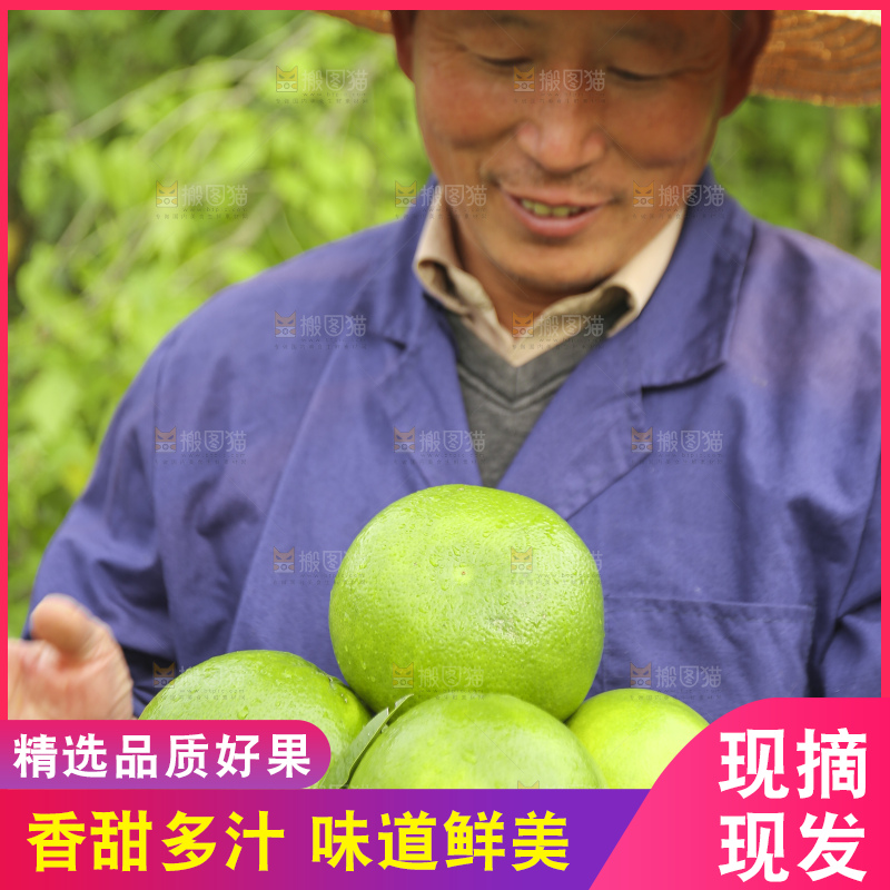 手里拿着青皮葡萄柚