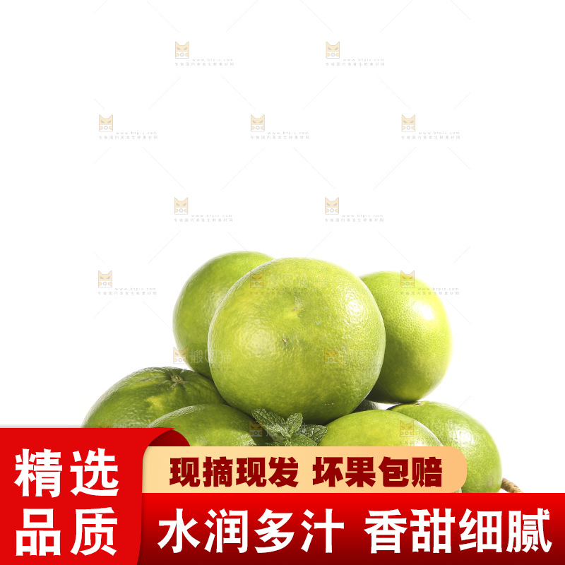 白底上的青皮葡萄柚