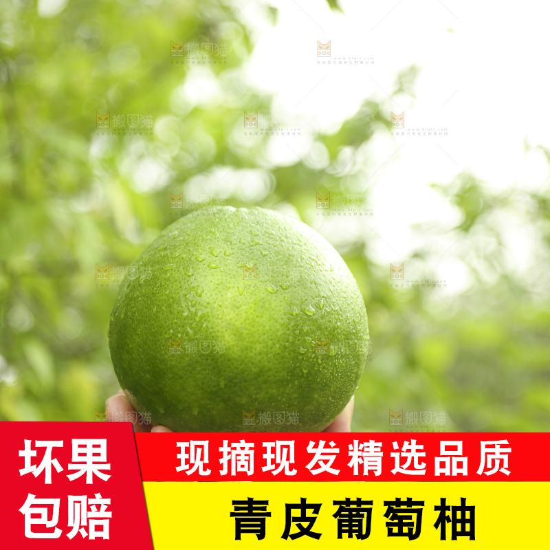 手里拿着青皮葡萄柚
