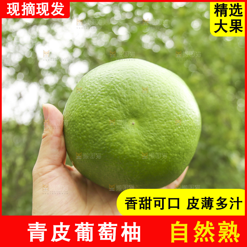 手里拿着青皮葡萄柚
