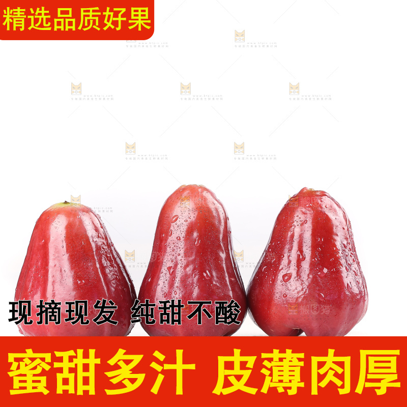 白底上的黑金刚莲雾