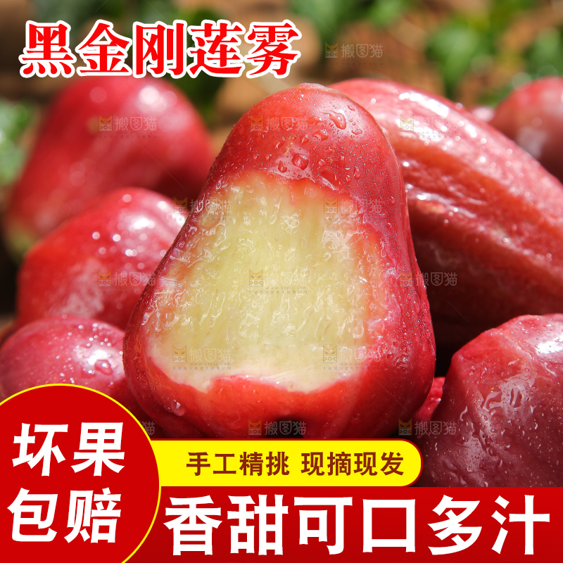 深底上的黑金刚莲雾