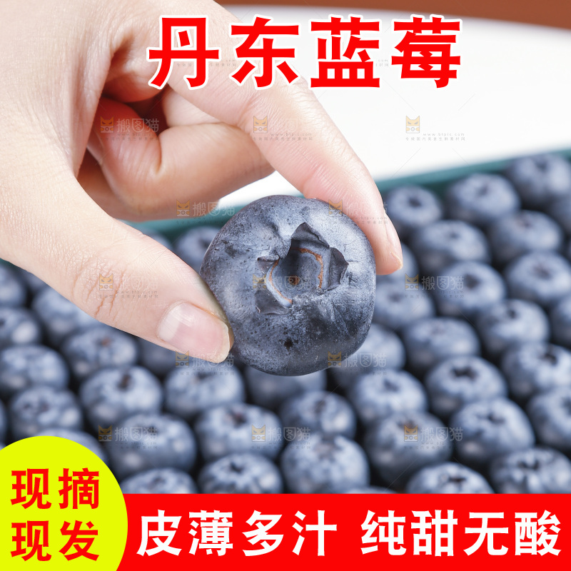 浅底上的新鲜蓝莓
