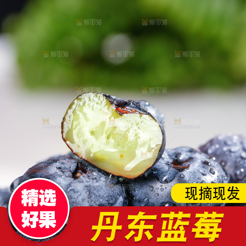 浅底上的新鲜蓝莓