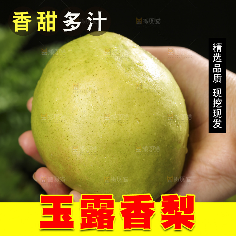 深底上的玉露香梨