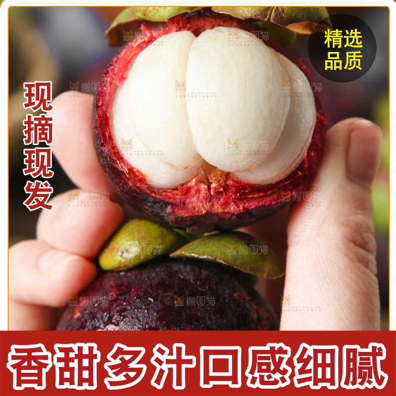 木底上的山竹