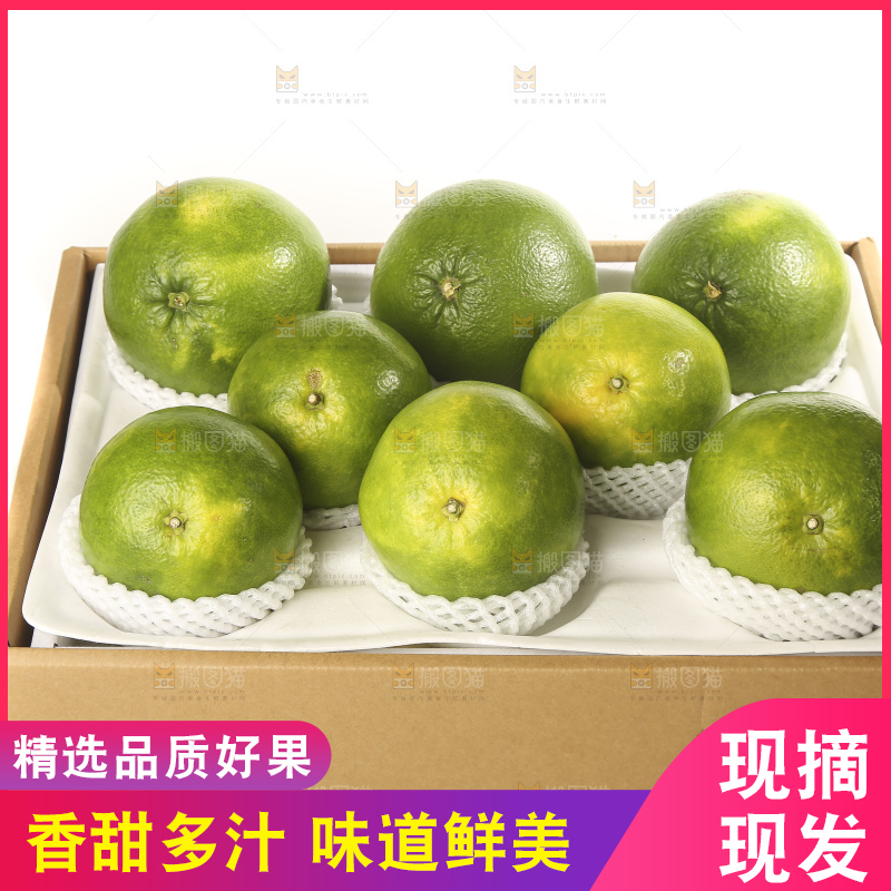 白底上的青皮葡萄柚