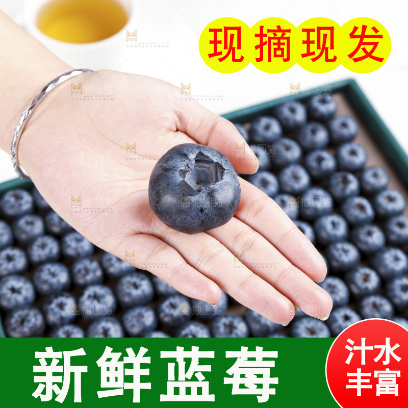 浅底上的新鲜蓝莓