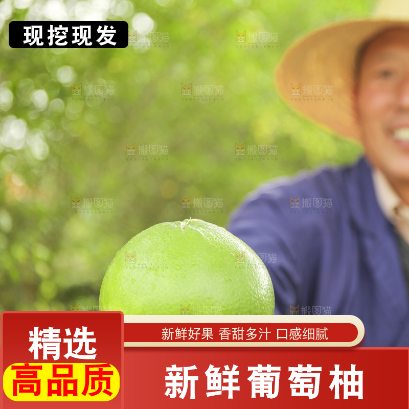 手里拿着青皮葡萄柚