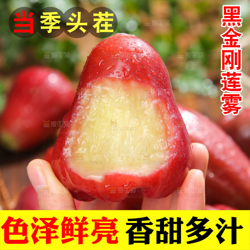 深底上的黑金刚莲雾