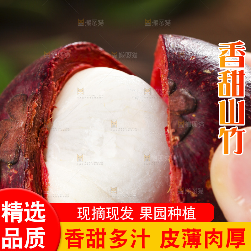木底上的山竹