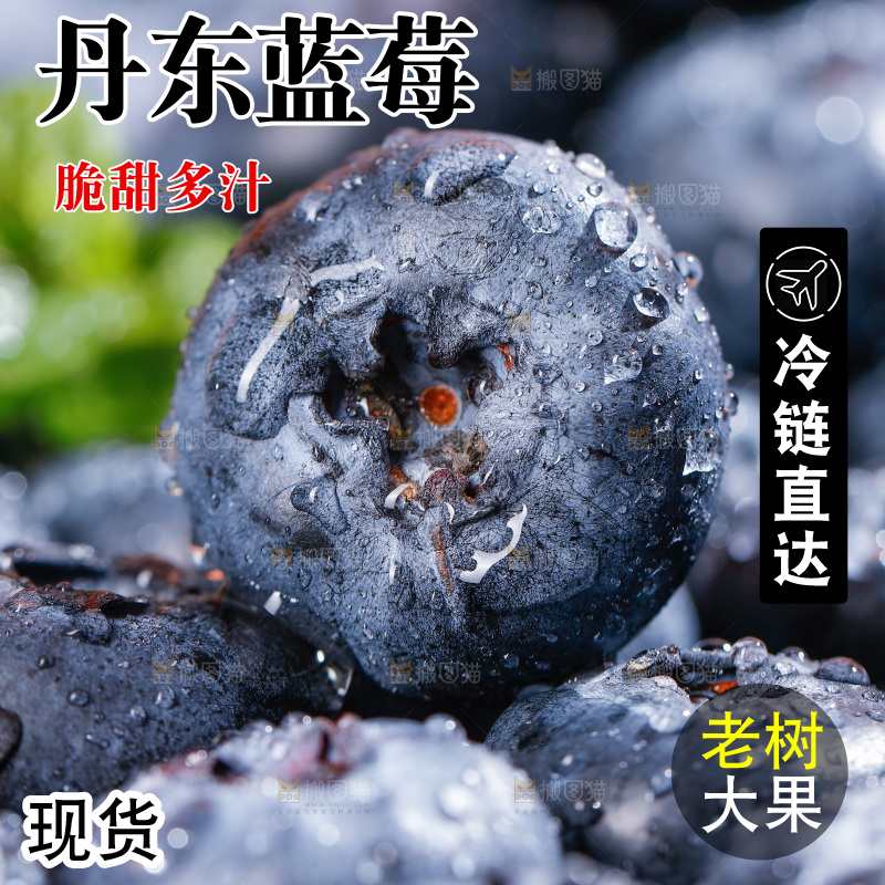 浅底上的新鲜蓝莓