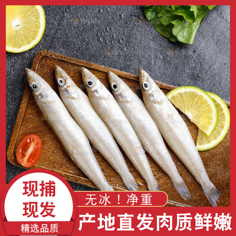 深底上的沙丁鱼