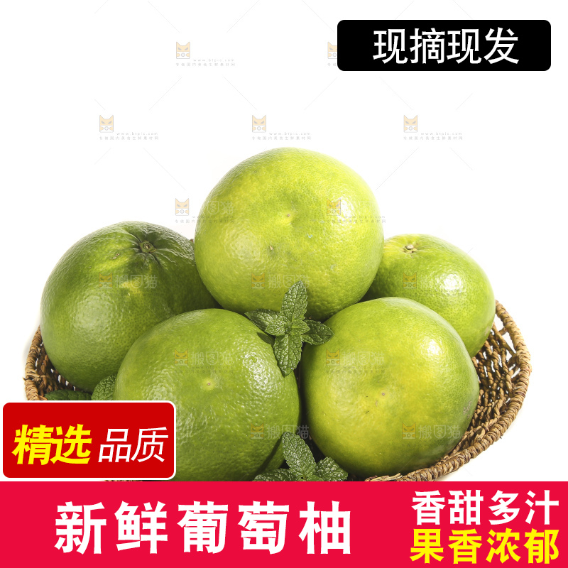 白底上的青皮葡萄柚
