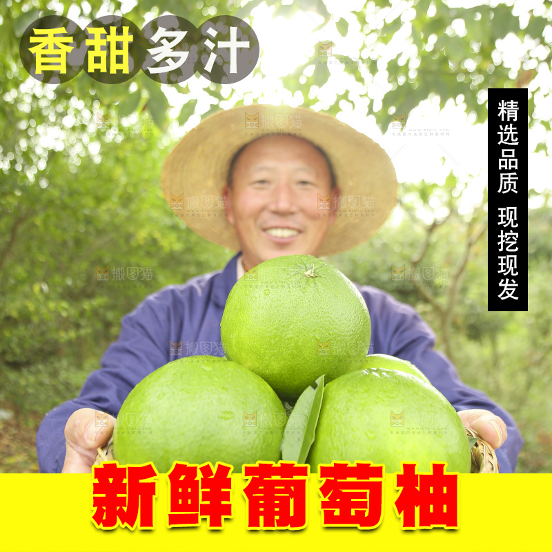 手里拿着青皮葡萄柚