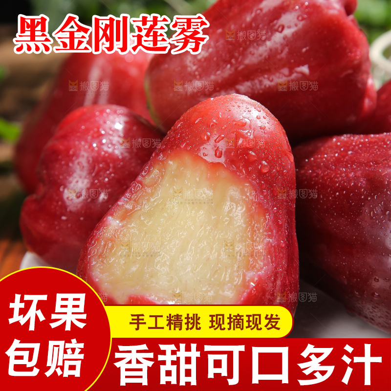 深底上的黑金刚莲雾