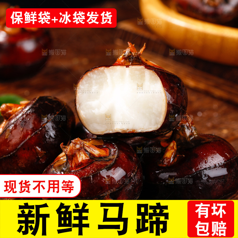 深底上的广西荔浦马蹄