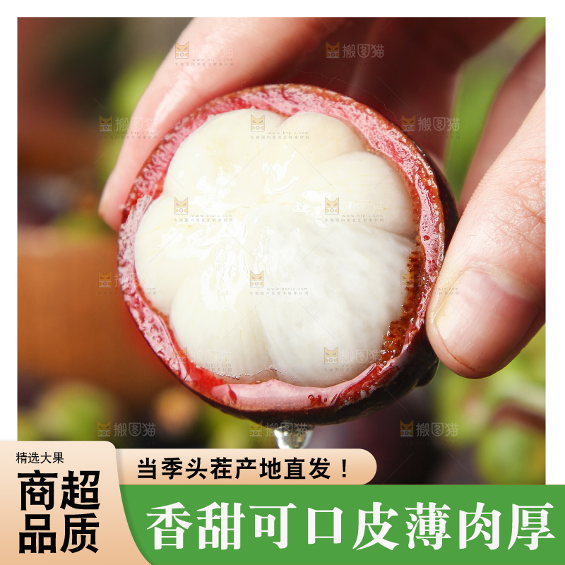 木底上的山竹