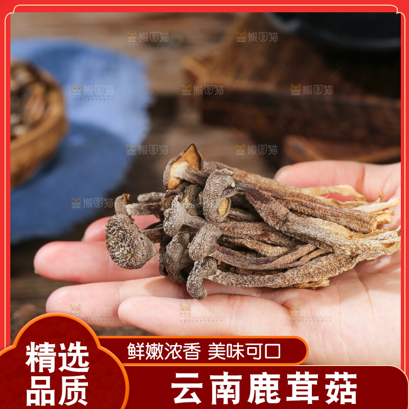 深底上的鹿茸菇