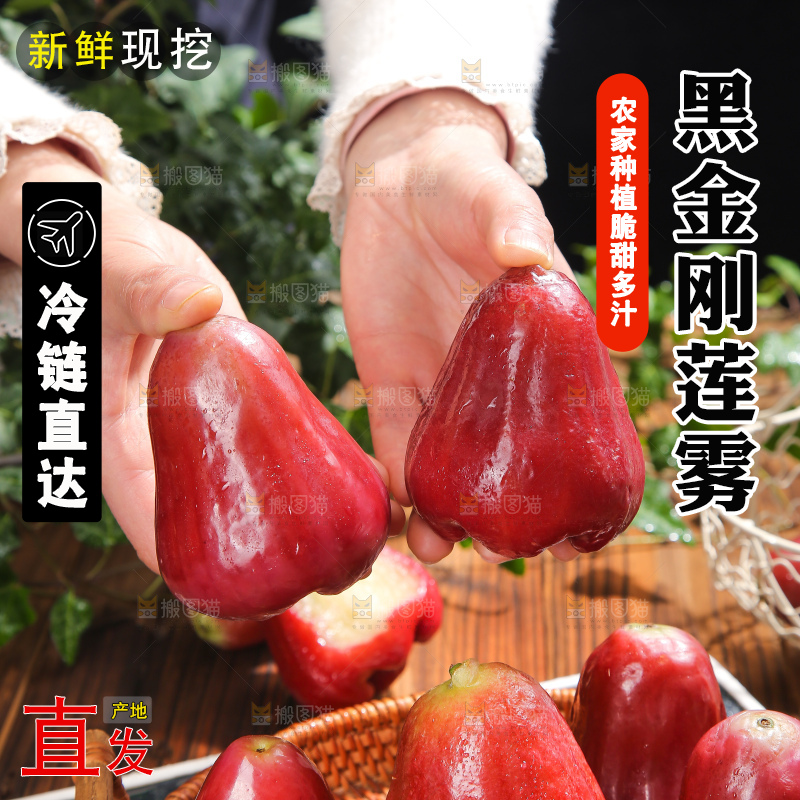深底上的黑金刚莲雾