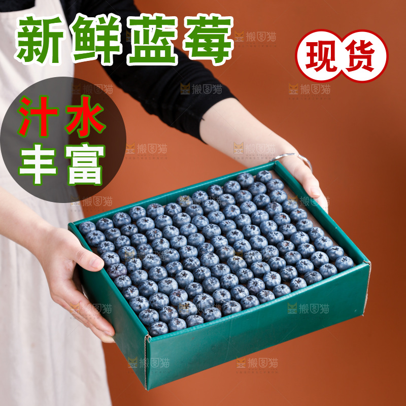 浅底上的新鲜蓝莓