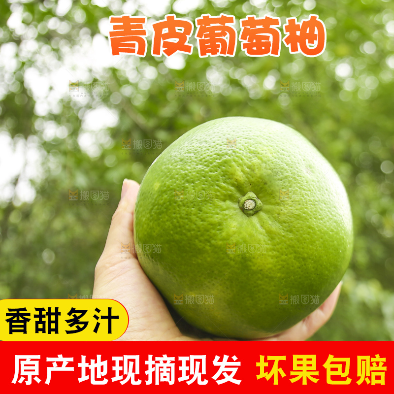 手里拿着青皮葡萄柚