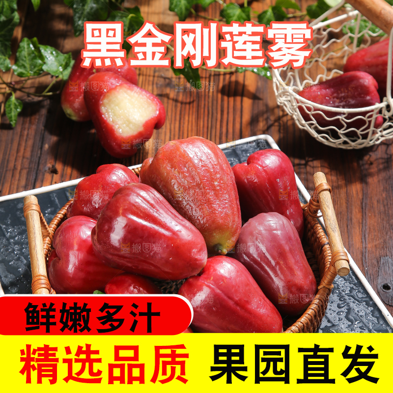 深底上的黑金刚莲雾