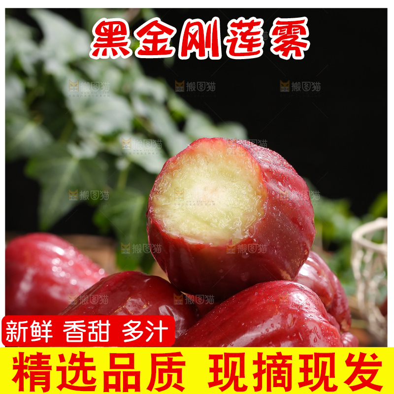 深底上的黑金刚莲雾