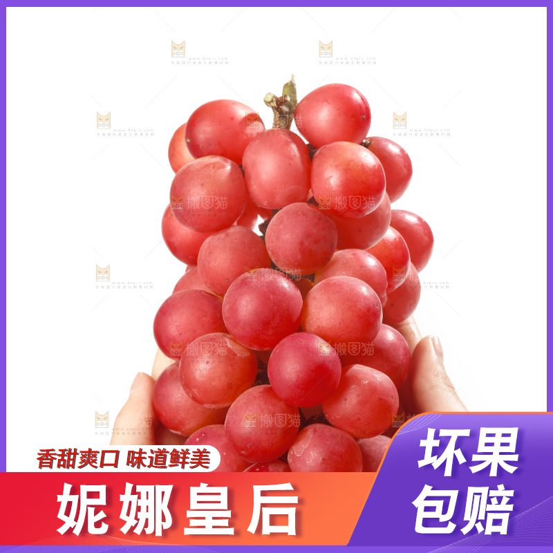 白底上的妮娜皇后葡萄