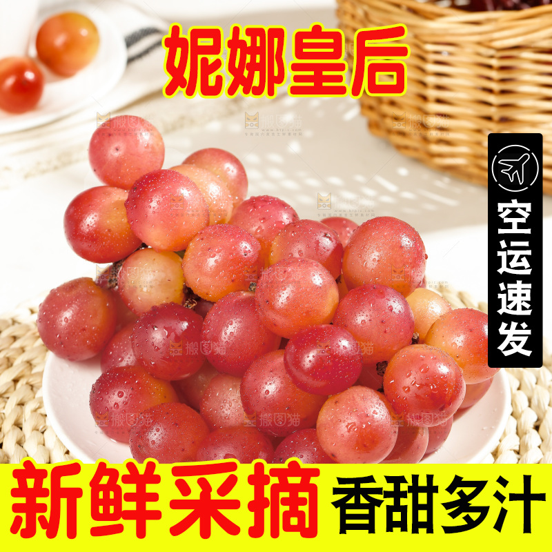 浅底上的妮娜皇后葡萄