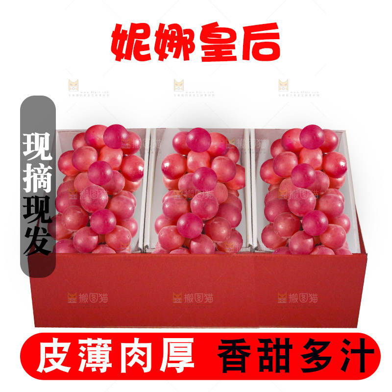 白底上的妮娜皇后葡萄