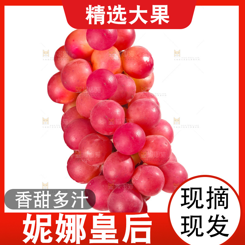 白底上的妮娜皇后葡萄