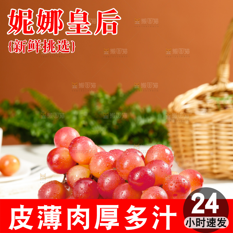 浅底上的妮娜皇后葡萄