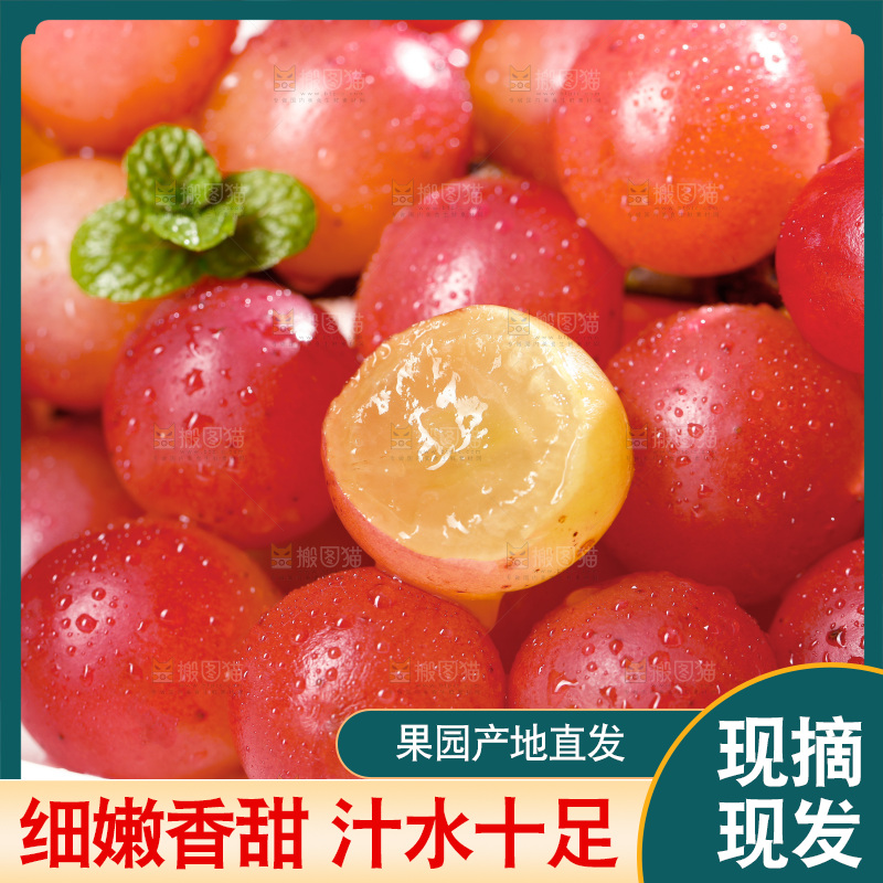 浅底上的妮娜皇后葡萄