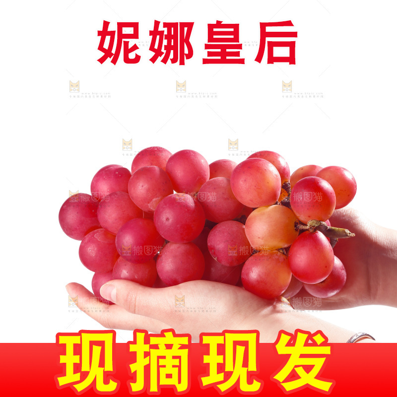 白底上的妮娜皇后葡萄
