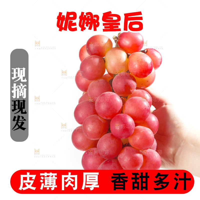 白底上的妮娜皇后葡萄