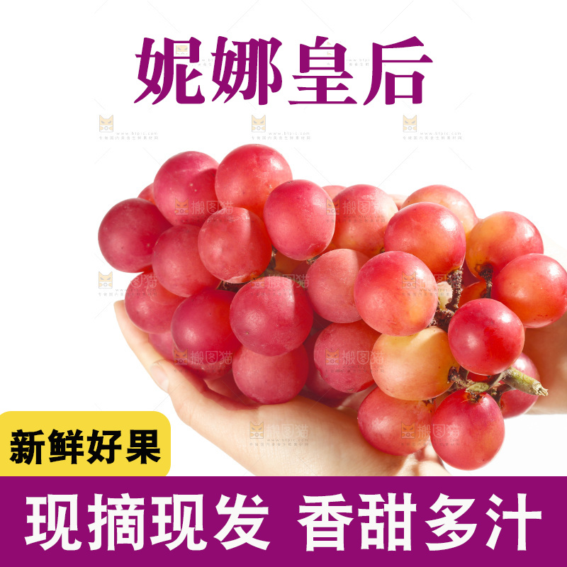 白底上的妮娜皇后葡萄