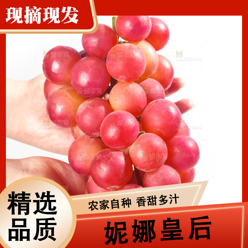 白底上的妮娜皇后葡萄