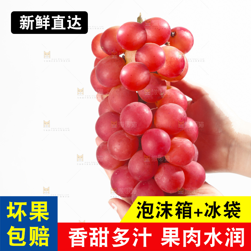 白底上的妮娜皇后葡萄