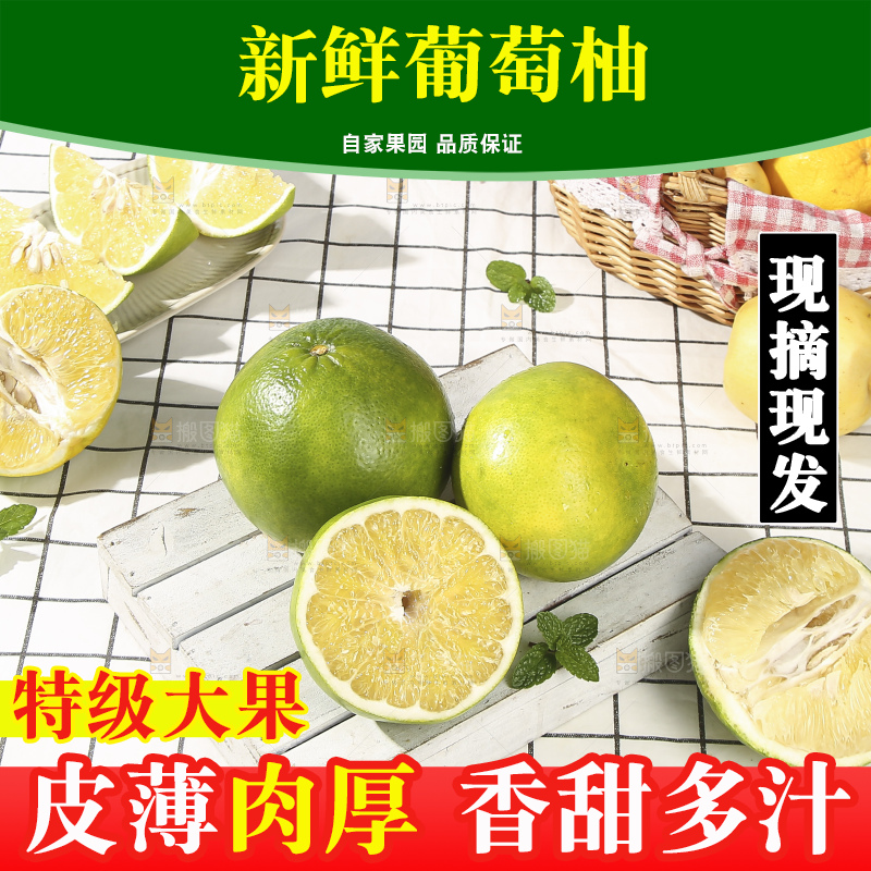浅底上的泰国青柚