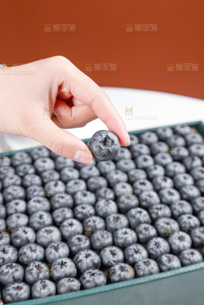 浅底上的新鲜蓝莓