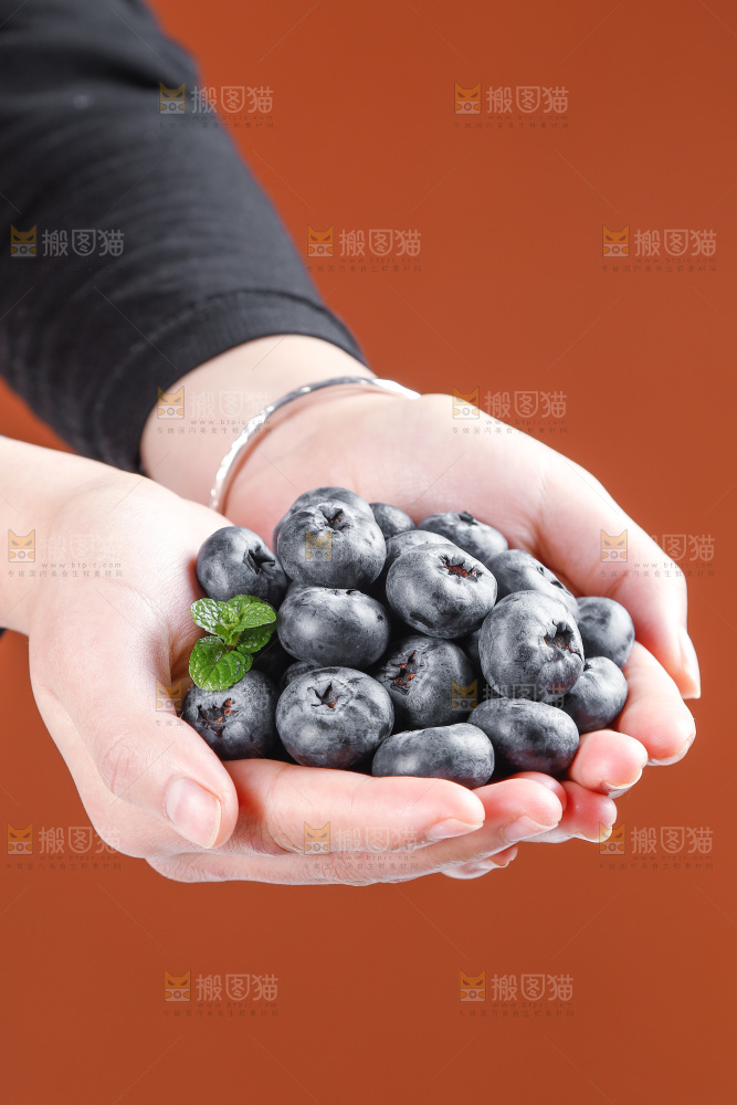 浅底上的新鲜蓝莓