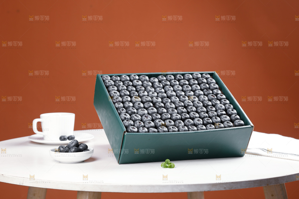 浅底上的新鲜蓝莓