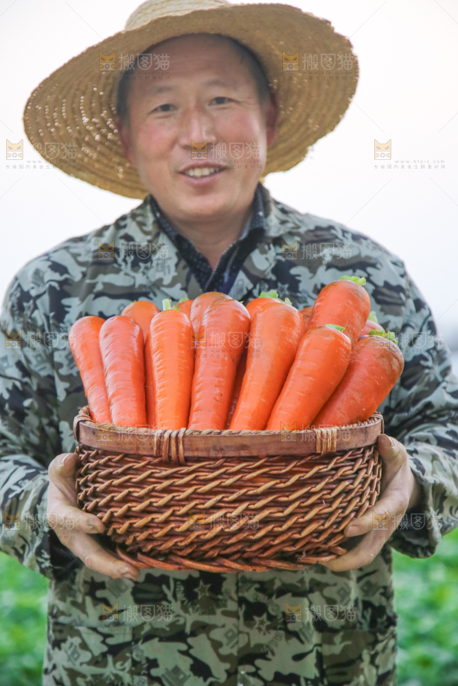 手里拿着胡萝卜