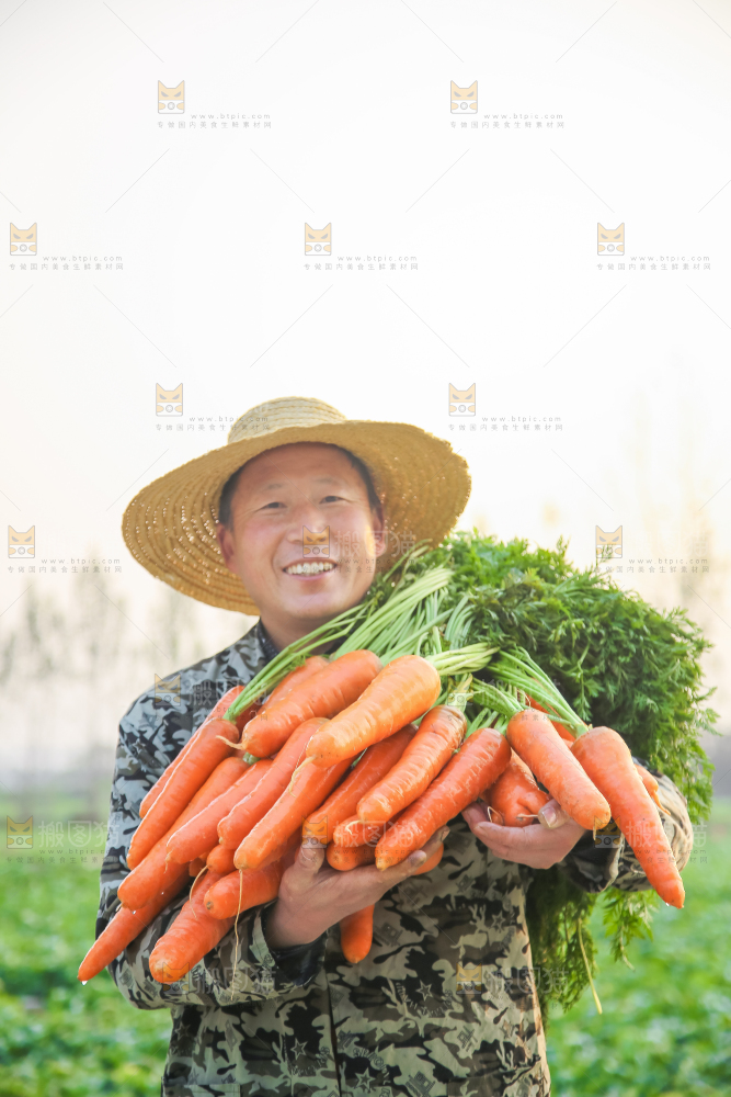 手里拿着胡萝卜
