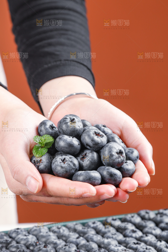 浅底上的新鲜蓝莓